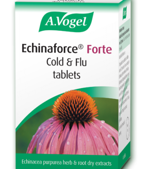 A Vogel Echinaforce Forte Cold & Flu 40 Tabs For Discount