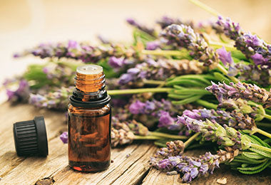 Always Natural Essential Oils Hot on Sale