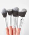 BH COSMETICS

ROSE QUARTZ 9 PIECE BRUSH SET For Discount