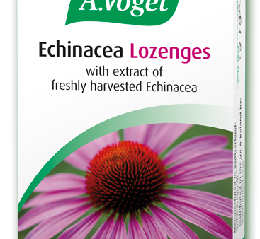 A Vogel echinacea lozenges Online now