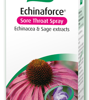 A Vogel Echinaforce Oromucosal Spray - Sore Throat Cheap